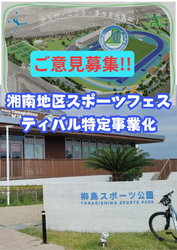 意見募集ヤナスポフェスの特定事業化